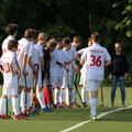 IMG 7067