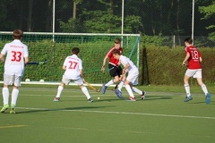 IMG 7111