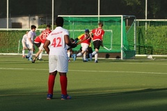 IMG 7184