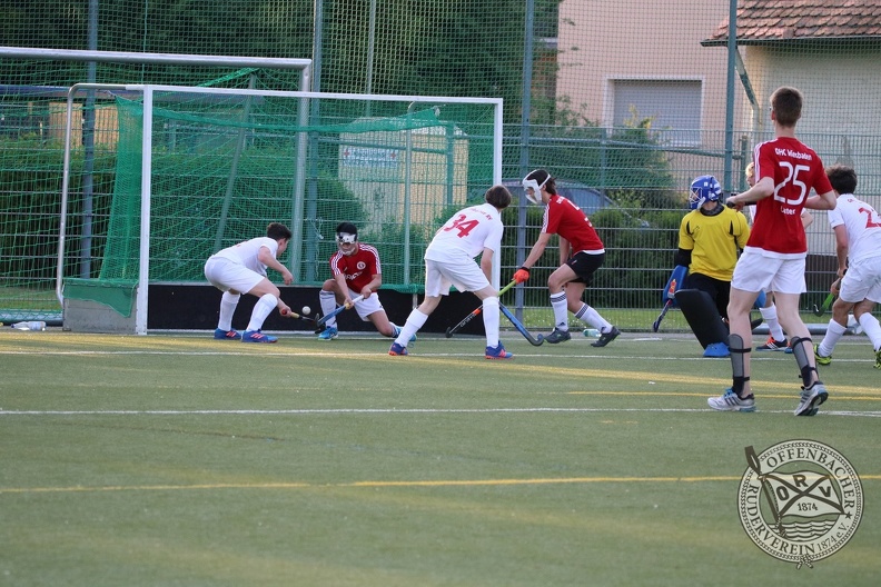 IMG_7300.JPG