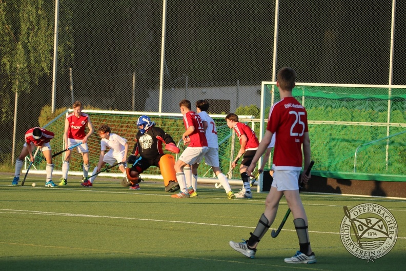IMG_7325.JPG